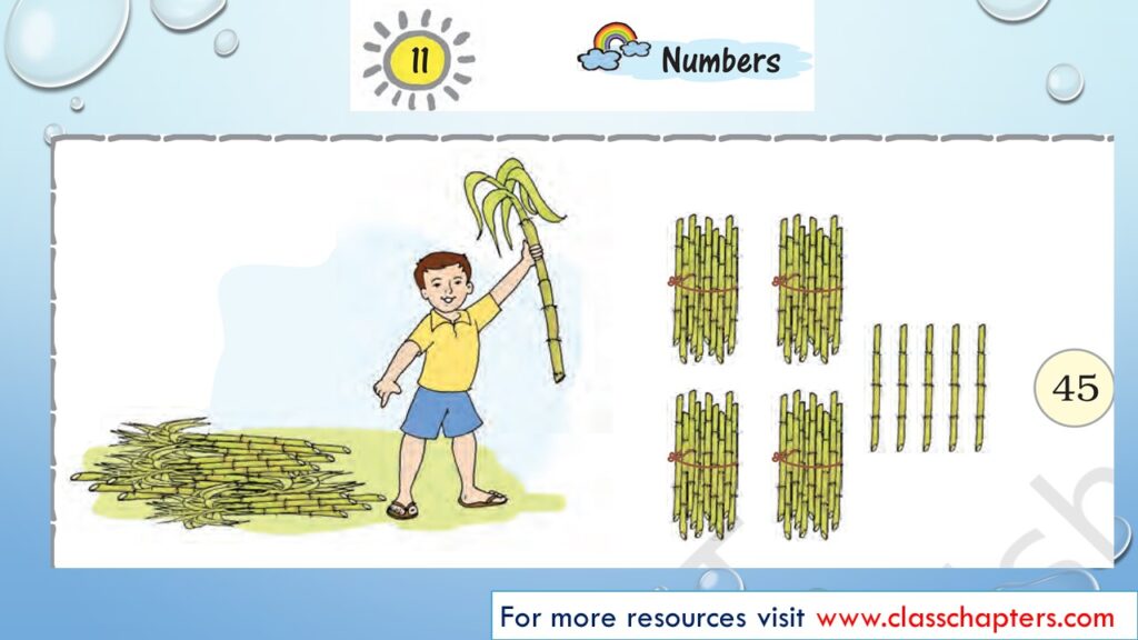Numbers LESSON PLAN