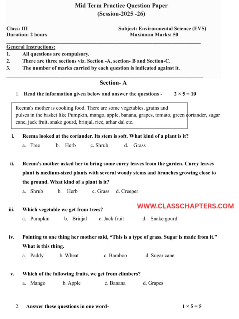 Class 3 EVS Mid Term Exam