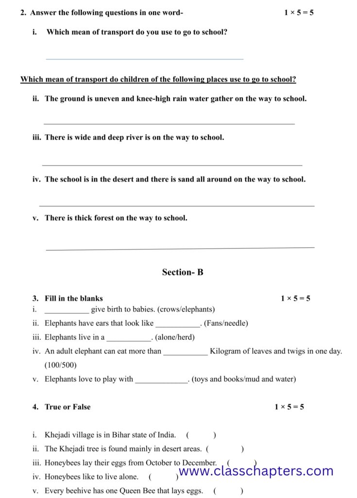 Class 4 EVS Mid Term Exam