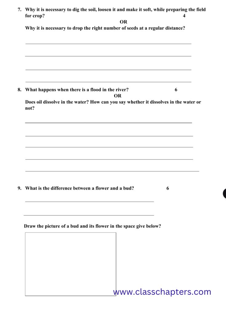 Class 4 EVS Mid Term Exam