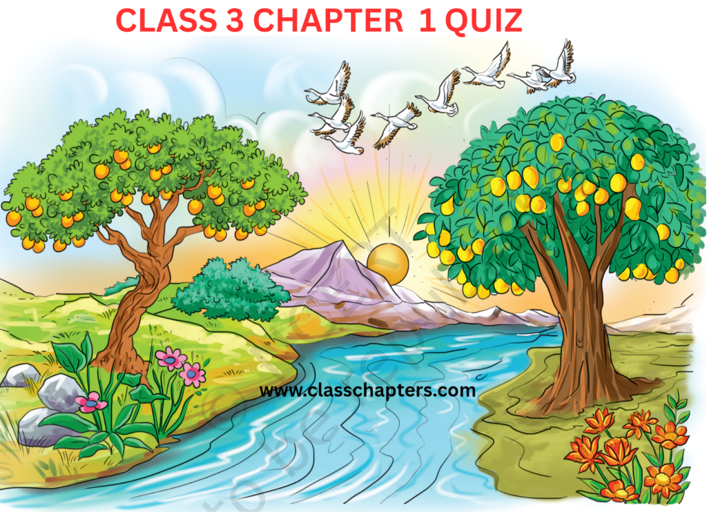 Class 3 Hindi Chapter 1 Quiz