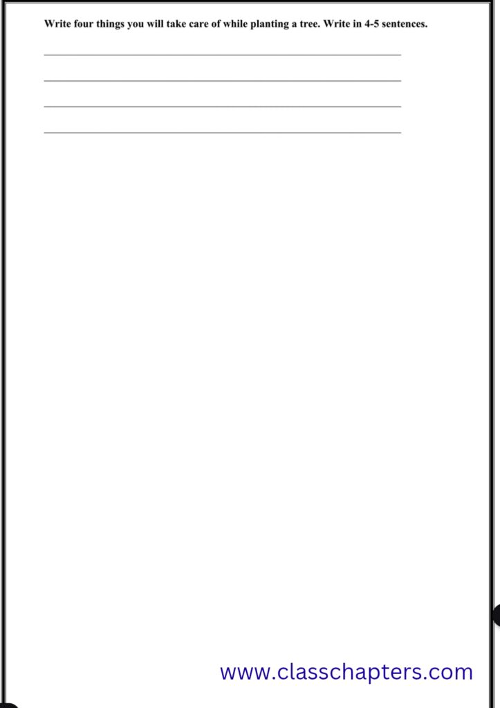 Class 4 English Mid Term Exam
