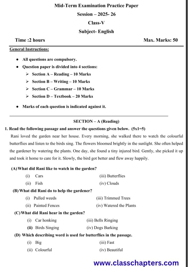 Class 5 English Mid Term Exam