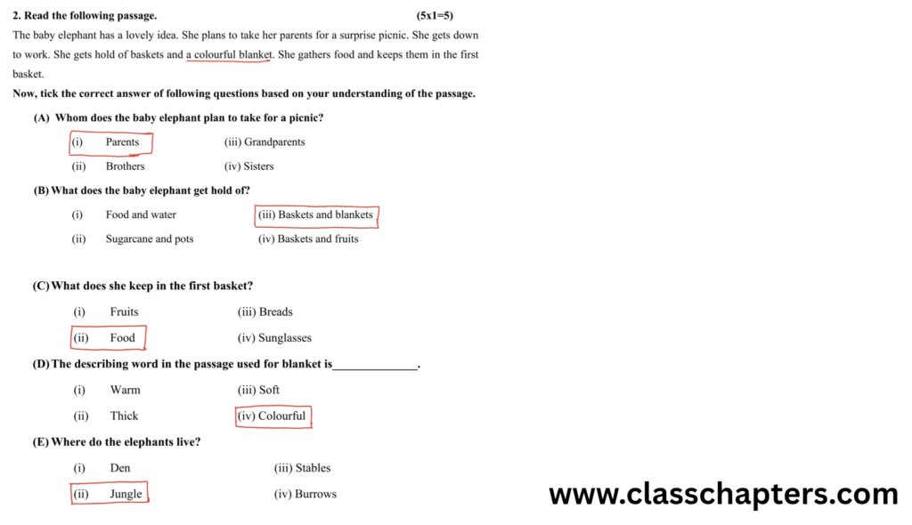 Class 4 English Mid Term