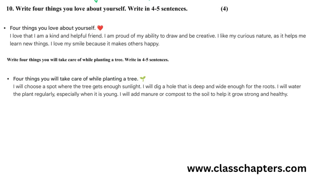 Class 4 English Mid Term
